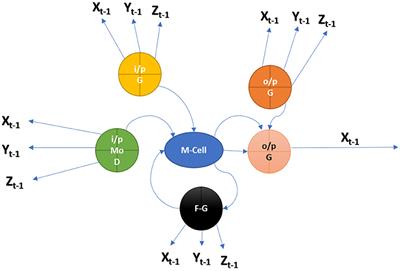 An efficient modular framework for automatic LIONC classification of MedIMG using unified medical language